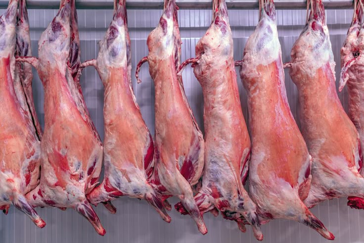 oakey beef exports pty ltd