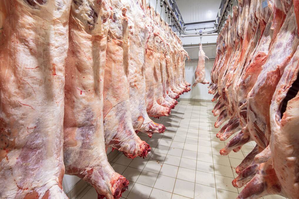 oakey beef exports pty ltd